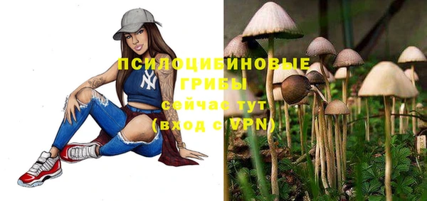 марки lsd Елабуга